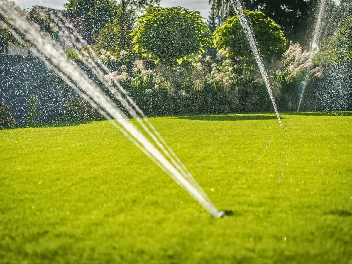 Eleganter Gartenweg mit vielfältigen mediterranen Pflanzen und sorgfältiger Landschaftsgestaltung