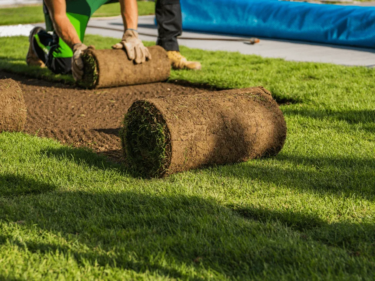Professionell gestalteter Garten mit Bewässerungssystem und saisonalen Pflanzungen