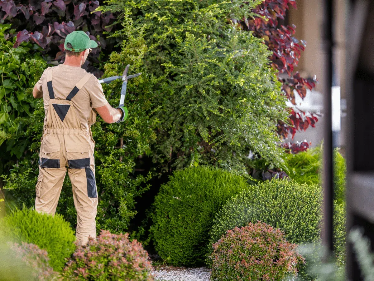 Eleganter Gartenweg mit vielfältigen mediterranen Pflanzen und sorgfältiger Landschaftsgestaltung